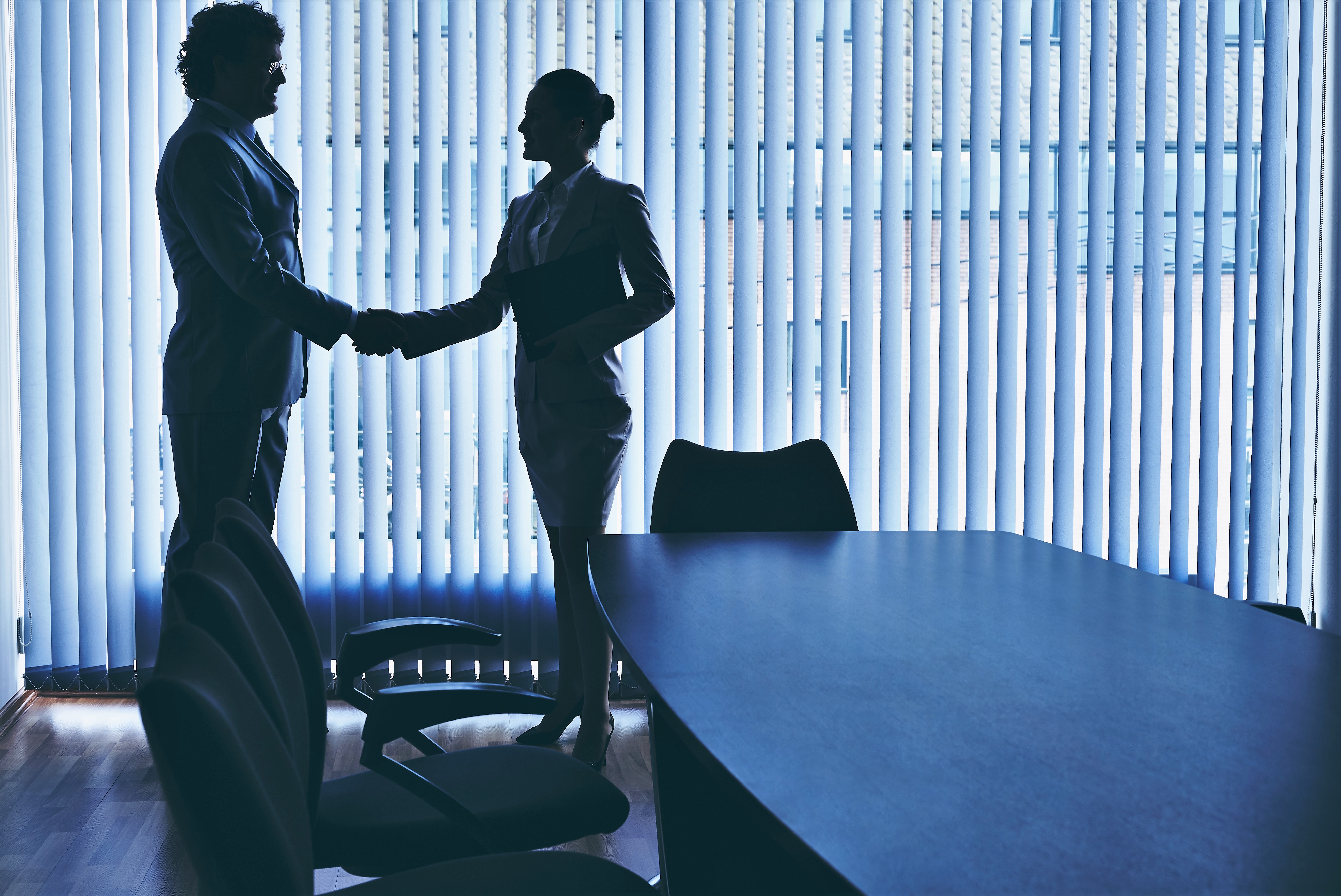 Businessman and businesswoman handshaking in office